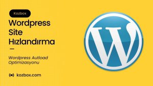 Wordpress Site Hızlandırma, Wordpress Site Optimizasyonu, Wordpress Autoload optimizasyonu - kozbox.com
